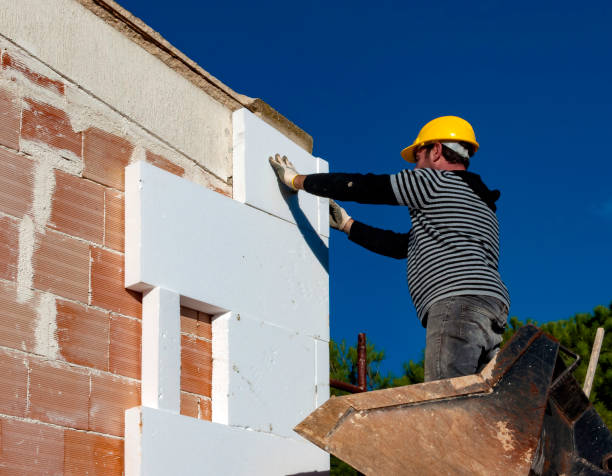 Best Eco-Friendly Insulation in Charlevoix, MI