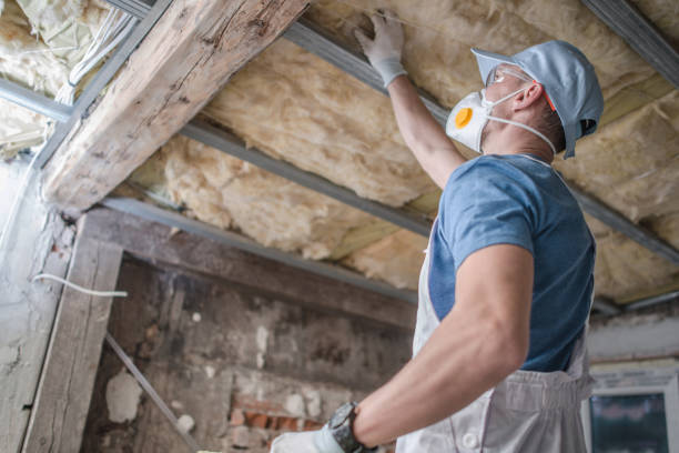 Best Specialized Insulation Services in Charlevoix, MI
