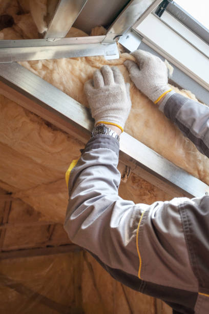 Best DIY Insulation Kits and Guidance in Charlevoix, MI