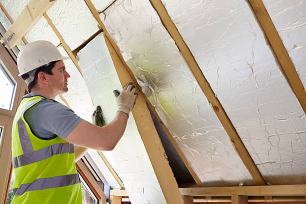 Best Cellulose Insulation in Charlevoix, MI